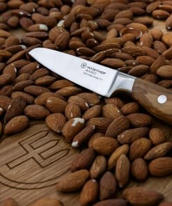 Wusthof Cutlery Wusthof Amici 3.5" Paring Knife -Knife-shop am 3.5inparing mood 03